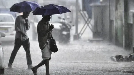rain-alert