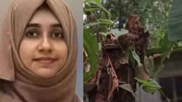 faheema