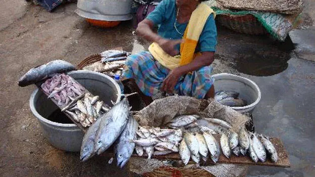 fish-market