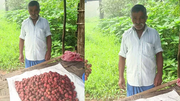mootipazham