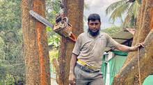 abdu-salam