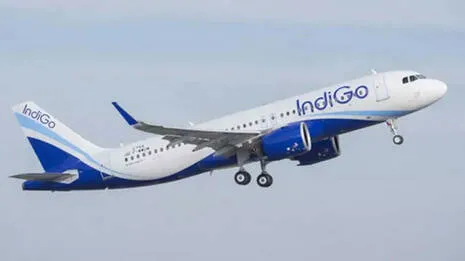 indigo