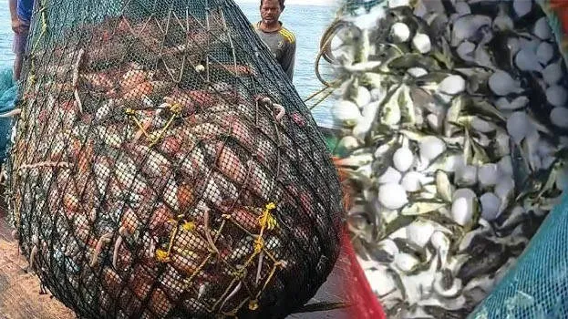 fishermen