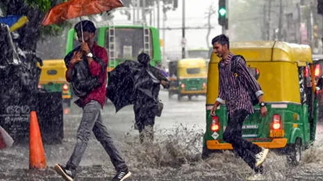 rain-alert