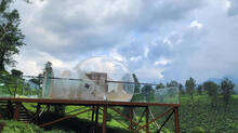 resort-stay-for-just-one-rupees-offer-provided-by-boche