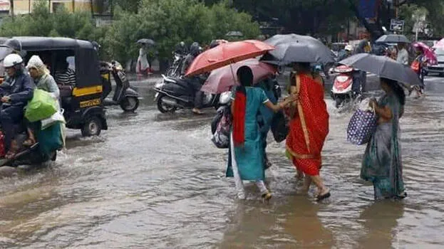 rain-alert