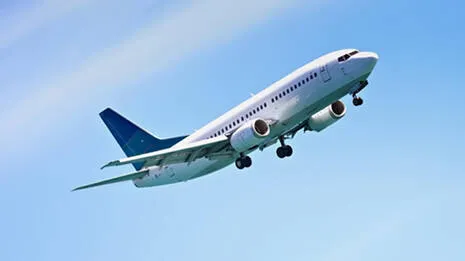 flight