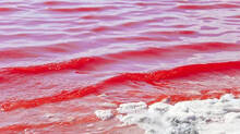 reason-behind-red-sea
