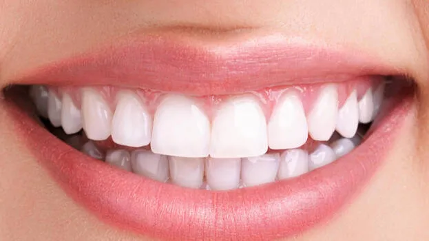 teeth