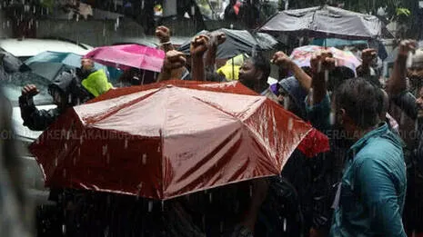 rain-alert