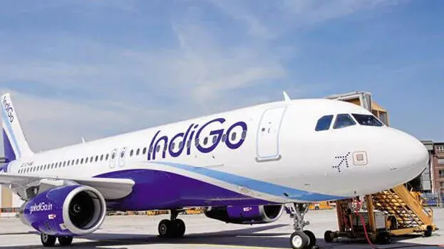 indigo