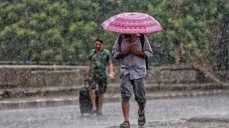 rain