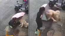 dog-attack--viral-video