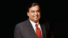 largest-mango-orchard-of-mukesh-ambani