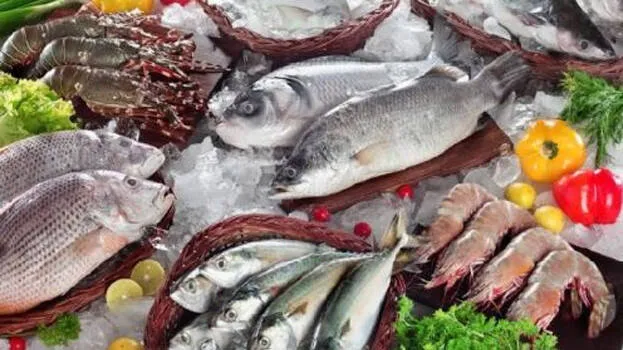 fish