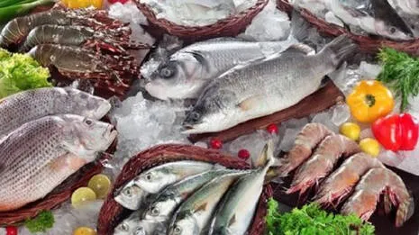 fish
