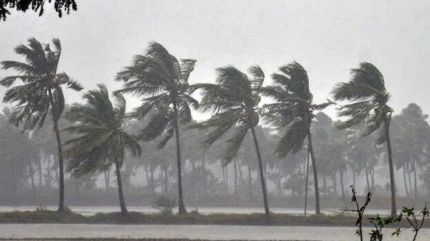 rain