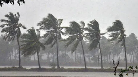 rain