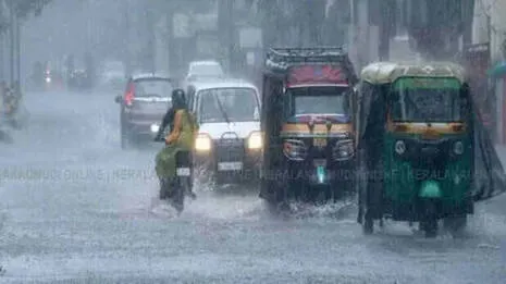 rain