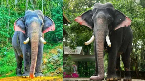 ayyappan