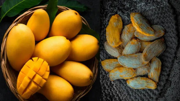 mango-seed