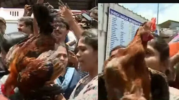 mla-office-march