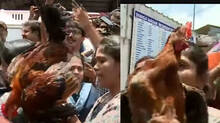 protest-march-with-chickens-to-rahul-mamkoothil-office