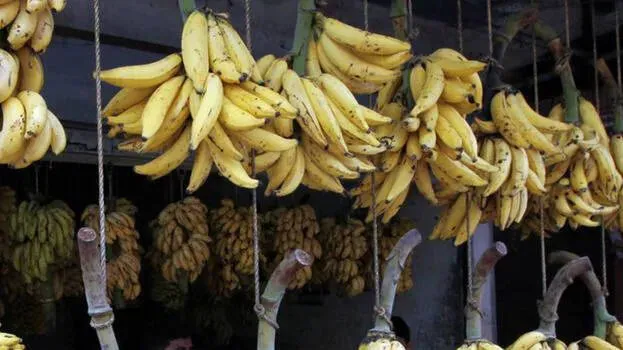 banana