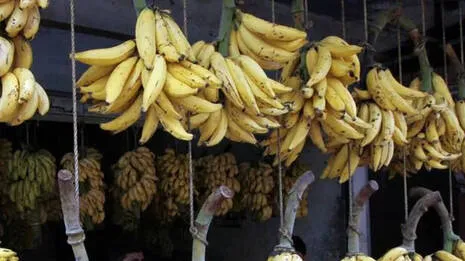 banana