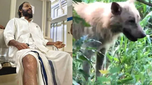 pj-varghees