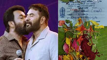 offerings-made-in-the-name-of-mammootty-at-the-chakkulath-kavu-temple-today