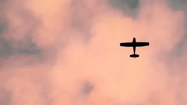 flight-