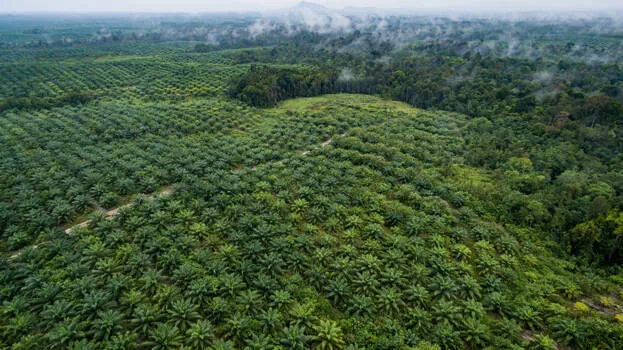 agriculture