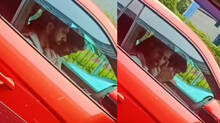 rohit-sharma-spotted-in-mumbai-traffic