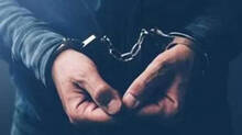 money--fraud-case