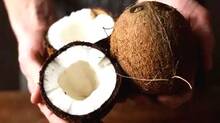 coconut
