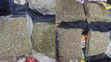 hybrid-cannabis-seized-at-nedumbassery-airport