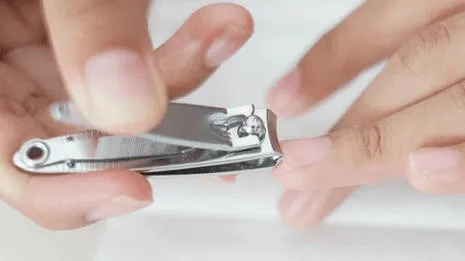 nail-cutter