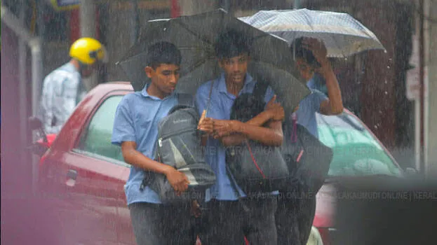 rain