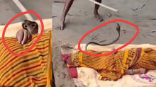 snake-bite-video-on-social-media