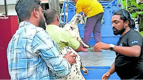 spca