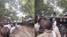 monkey-snatches-cash-bag-throws-from-tree
