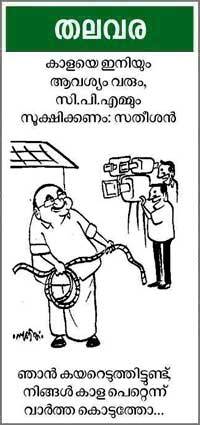 Cartoon
