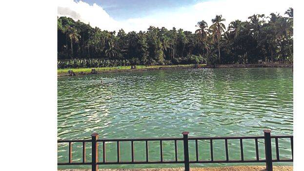 ananganadi