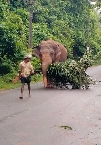 Kerala Kaumudi Photo Gallery
