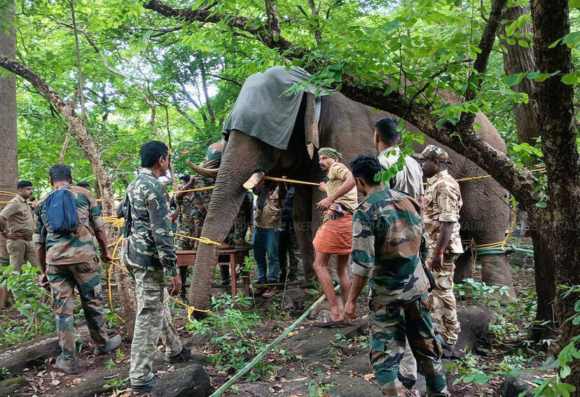 Kerala Kaumudi Photo Gallery