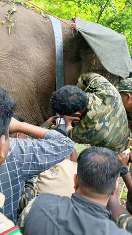Kerala Kaumudi Photo Gallery