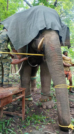 Kerala Kaumudi Photo Gallery