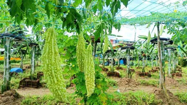 thrithala