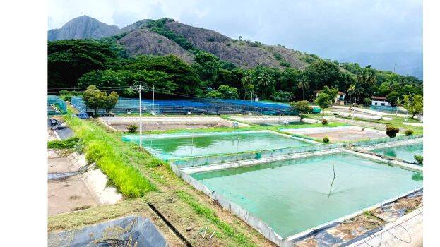 fisheries